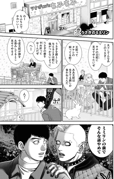 丸々してんなあ　このうさぎ！