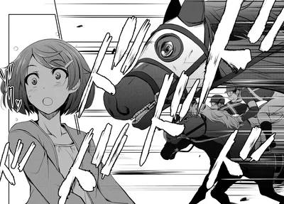 目の前を駆け抜けていく競走馬たち