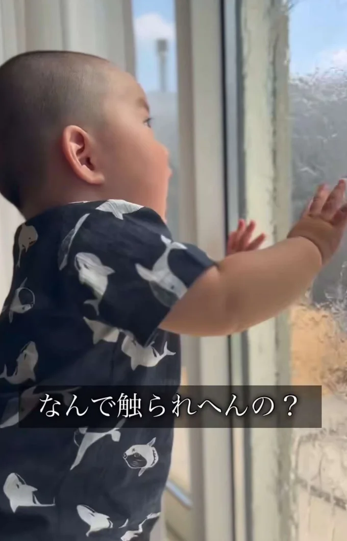 なんで触れないの!?とびっくり▶3兄弟の愛らしい日常(⇒次へ)