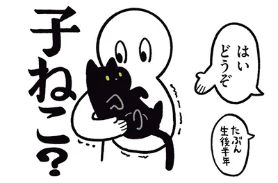 子ねこ？