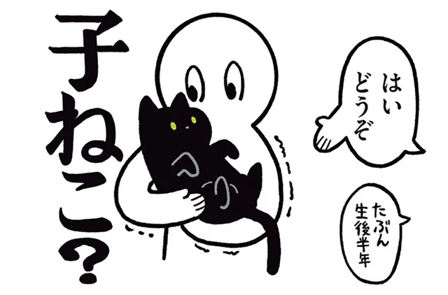 「子ねこって思ってたより大きいなあ」黒猫ろんの第一印象
