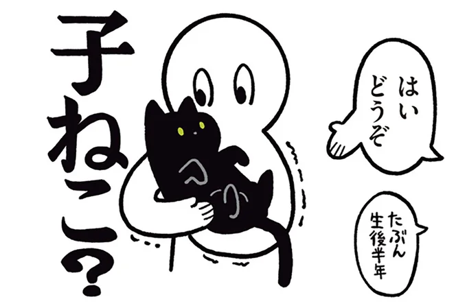 子ねこ?