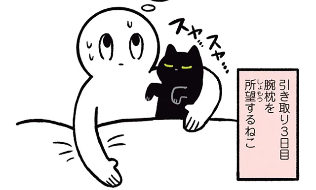 引き取って3日目には腕枕!?人懐っこすぎる黒猫ろん
