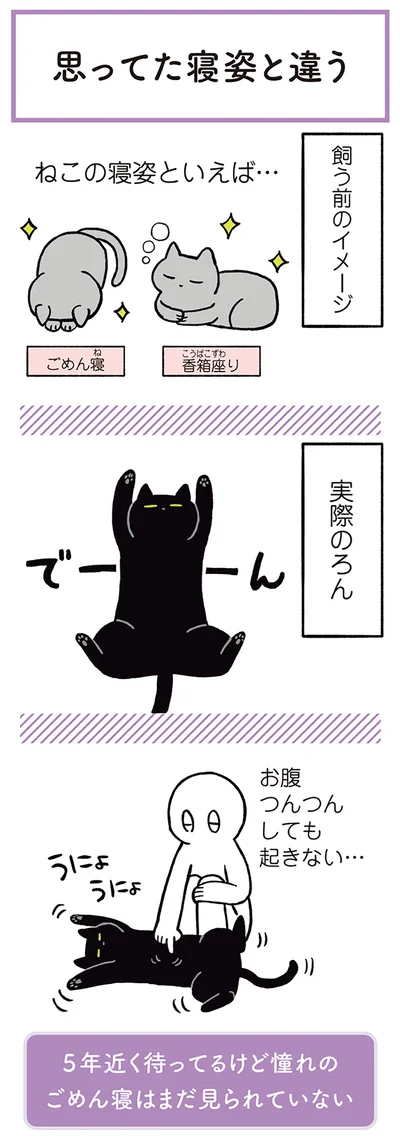 ねこの寝姿といえば…