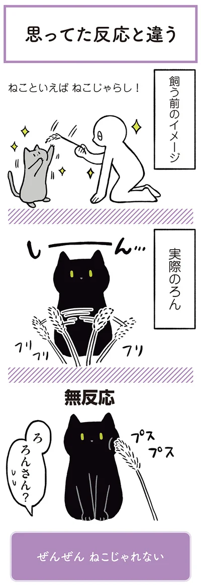 ねこといえばねこじゃらし！