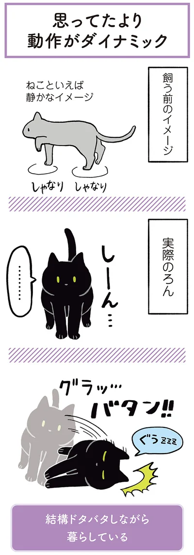 ねこといえば静かなイメージ