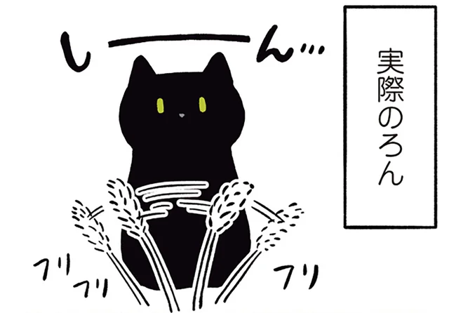 ねこじゃらしへの反応が予想外。猫っぽくない黒猫ろん