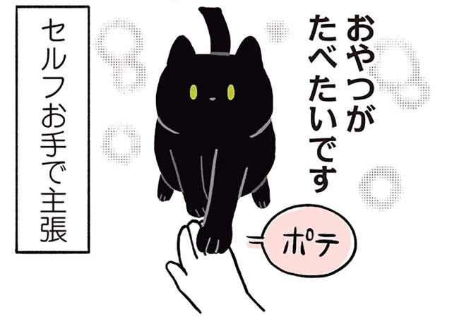 おやつは控えめに主張？黒猫ろんのふわふわまんまるおてて