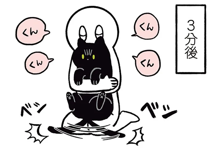 最後は怒られちゃう。黒猫ろんの飼い主がついやってしまうこと