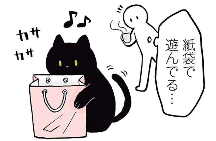 楽しいおもちゃになるはずが!?黒猫ろんの紙袋遊び／黒猫ろんと暮らしたら1（11）