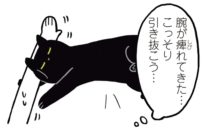 こっそり腕を抜いたらどうなる？飼い主の腕枕で熟睡する黒猫ろん／黒猫ろんと暮らしたら1（14）
