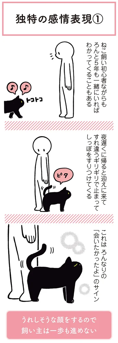 うれしそうな顔をするので飼い主は一歩も進めない