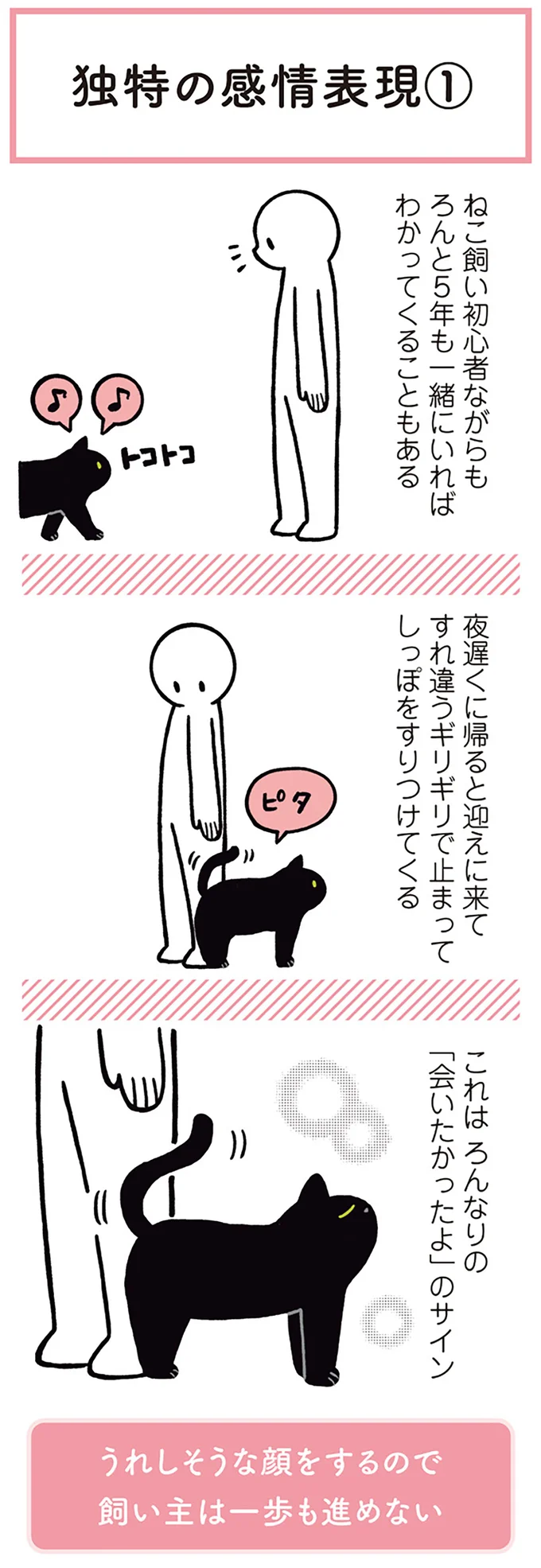 うれしそうな顔をするので飼い主は一歩も進めない