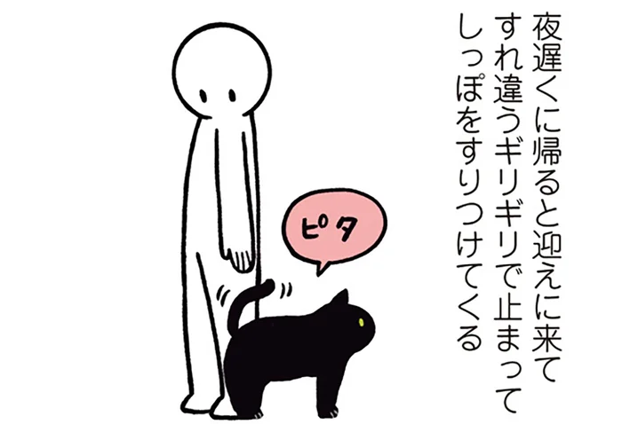 すれ違うギリギリでピタッ。黒猫ろんの「会いたかったよ」サイン／黒猫ろんと暮らしたら1（16）
