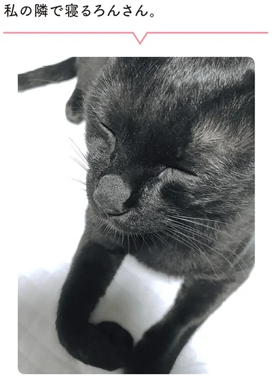 私の隣で寝るろんさん