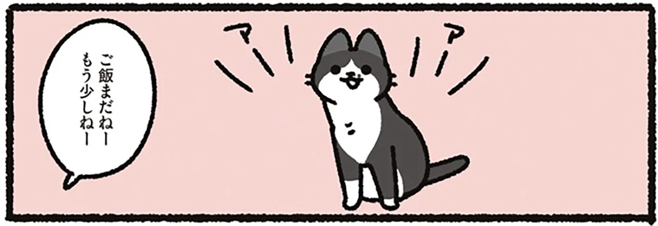 ちょっと待ってね」「もう少しね」猫からの呼び出しを後回しにしていた