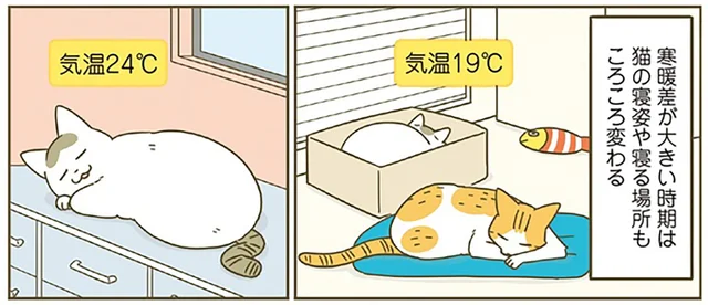 猫が新たな季節の訪れを告げる？ 寝姿や寝る場所が変わってくる頃の話