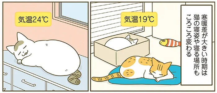 猫が新たな季節の訪れを告げる？ 寝姿や寝る場所が変わってくる頃の話／うちの猫がまた変なことしてる。 8（3）