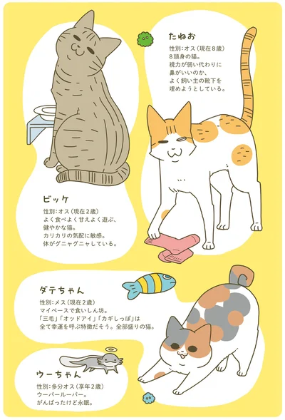 動物紹介