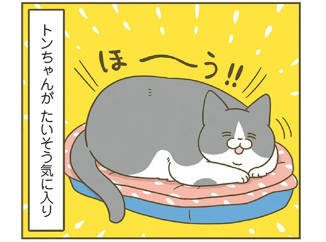 飼い主が作ったあったかベッド。愛猫は思ったより気に入ってくれたみたいで?