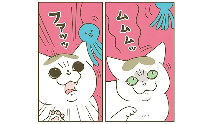 「遊ぼう！」飼い主にかまってくれる猫。気合いのほどは？／うちの猫がまた変なことしてる。 8（5）