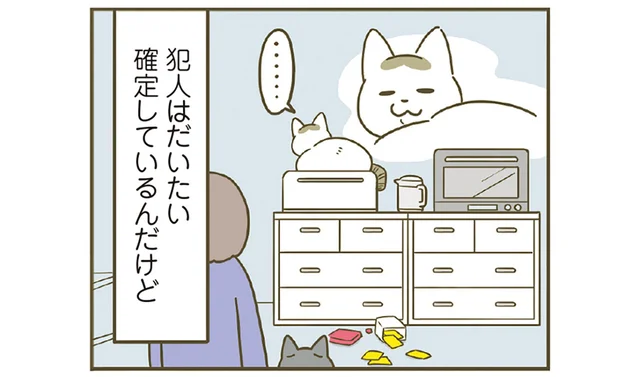 犯猫が確定しているイタズラ。あえて叱らずに黙々と片付けていたら