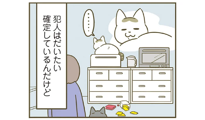 犯猫が確定しているイタズラ。あえて叱らずに黙々と片付けていたら／うちの猫がまた変なことしてる。 8（6）
