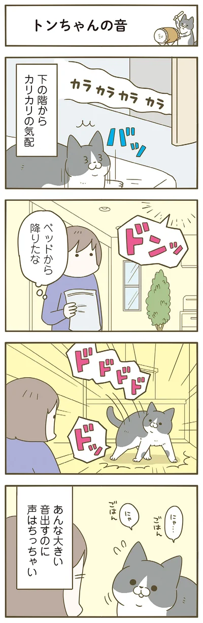 音は大きいのに声はちっちゃい