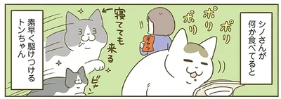 何かを食べていると…