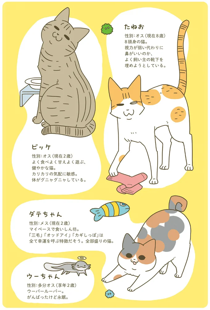 動物紹介