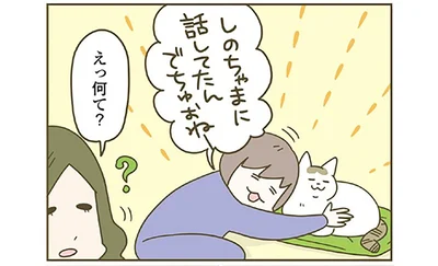 猫に話しかけるも…