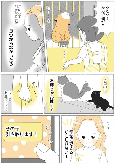『にゃんかつ 11匹と2人の暮らし』より