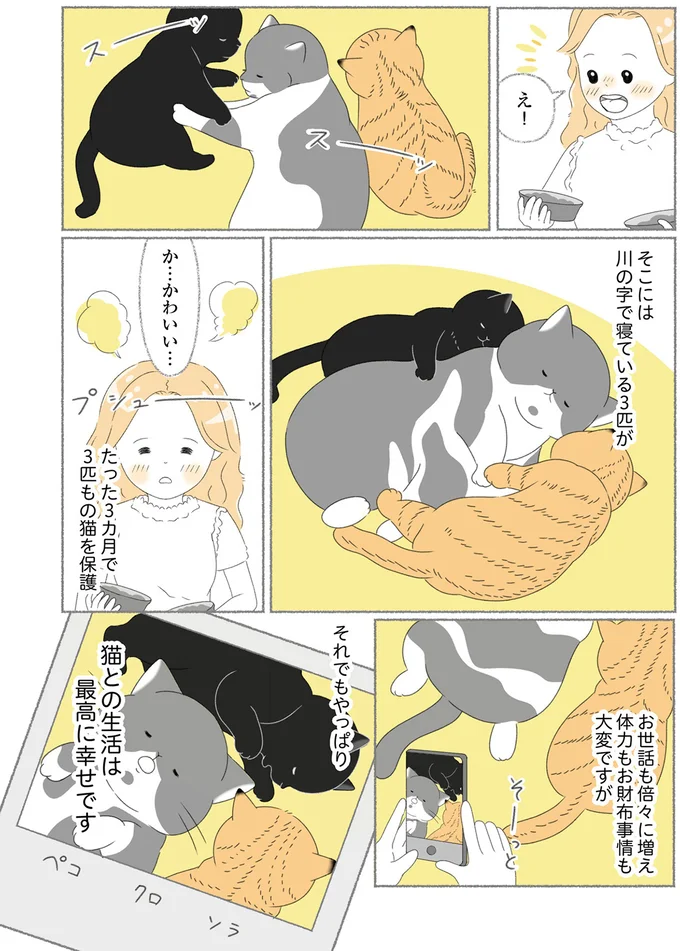 『にゃんかつ 11匹と2人の暮らし』より