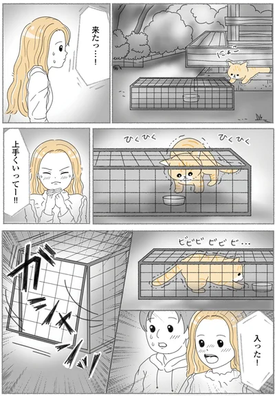 『にゃんかつ 11匹と2人の暮らし』より