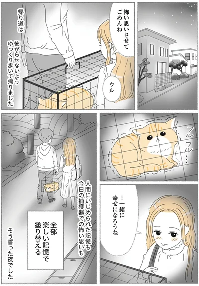 『にゃんかつ 11匹と2人の暮らし』より