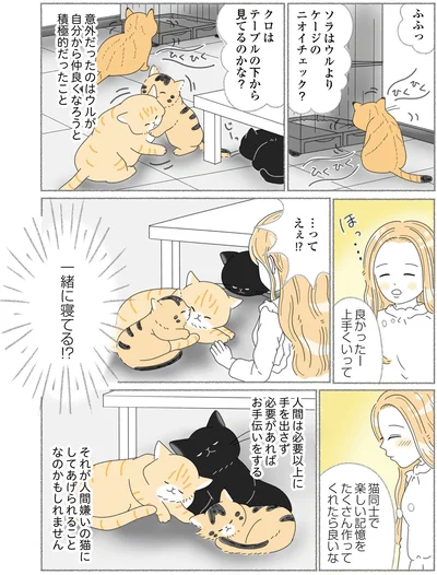 『にゃんかつ 11匹と2人の暮らし』より