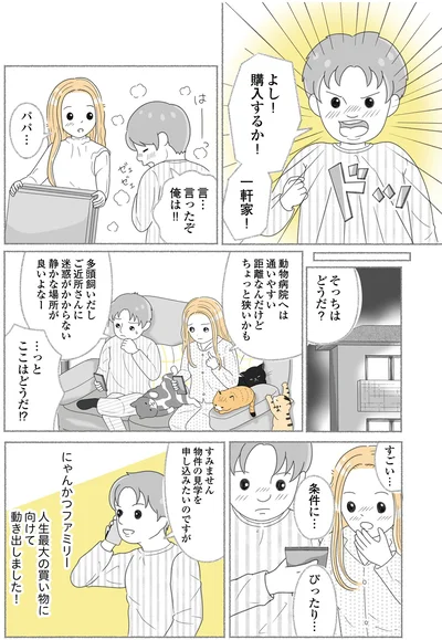 『にゃんかつ 11匹と2人の暮らし』より