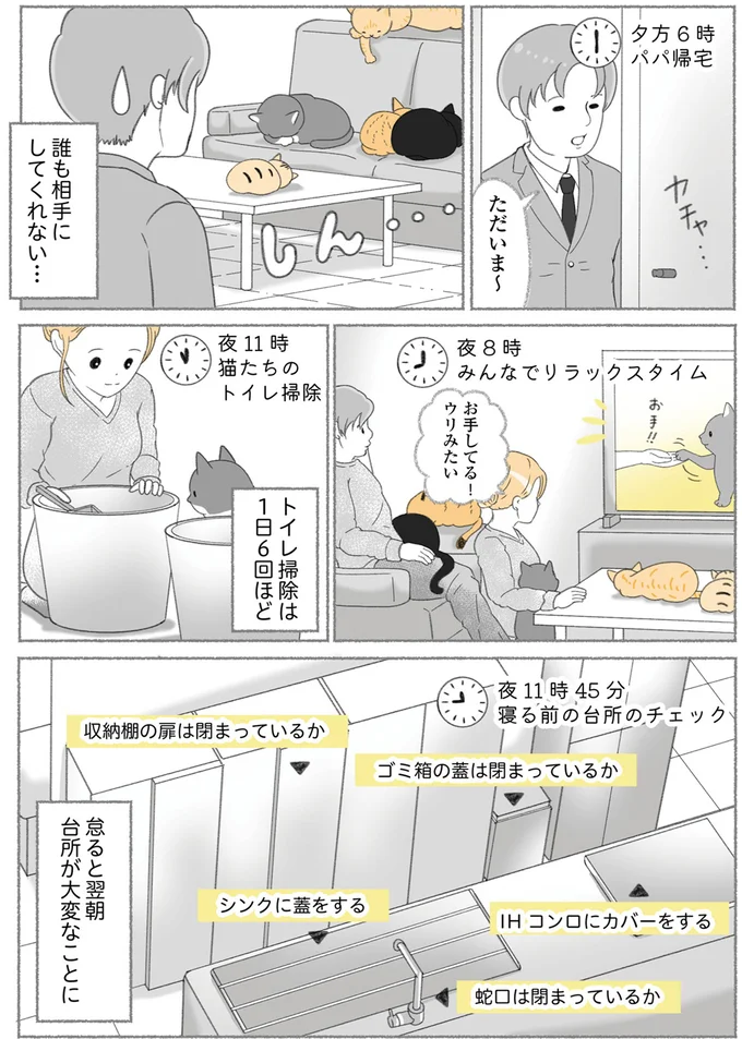 『にゃんかつ 11匹と2人の暮らし』より