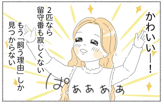保健所に連れて行かれそうな子猫を保護。飼う以外の選択肢はなかった
