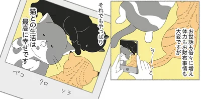 猫との生活は最高に幸せです