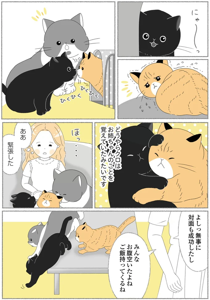 対面も成功したし