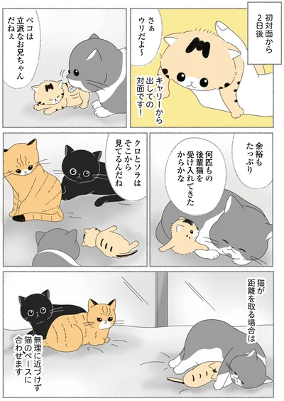 初対面から2日後