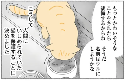 人間にいじめられていた猫を救いたい!警戒心が強い野良猫を保護する方法とは