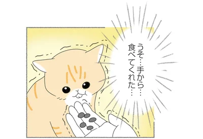 はじめて心を開いてくれた日