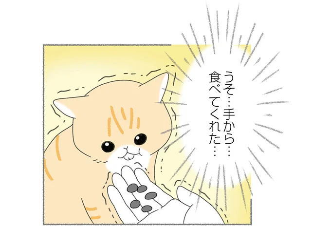 はじめて心を開いてくれた日