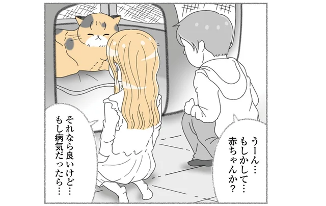 もし病気だったら…。保護猫のお腹のふくらみが気になり動物病院へ／にゃんかつ（10）