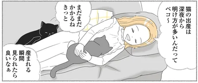 生まれる瞬間見られたら良いなぁ