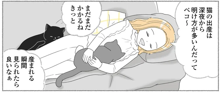 飼い猫の初めての出産立ち合い！まだまだ時間がかかると予想していたのに／にゃんかつ（11）