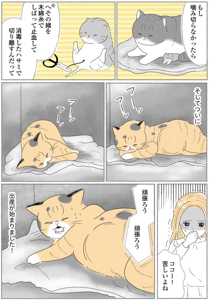 出産が始まりました！