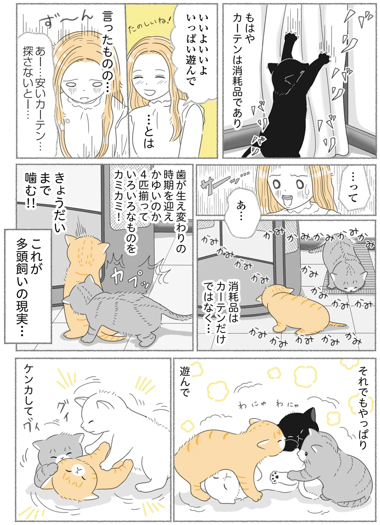 猫10匹との生活で部屋が手狭に。猫のために人生最大の買い物を決意